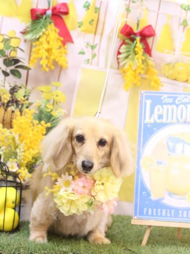 20240419こはるちゃん